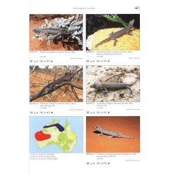 Terralog 10 Geckos of Australia / Geckos Australiens