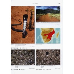 Venomous Snakes of Africa Terralog volume15