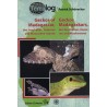 Geckos of Madagascar, the Seychelles, Comoros and Mascarene Islands Terralog 12