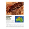 A Guide to Australian Pythons in Captivity