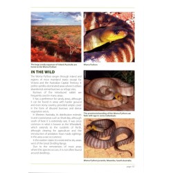 A Guide to Australian Pythons in Captivity