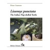 Lissemys punctata. The Indian Flap-shelled Turtle
