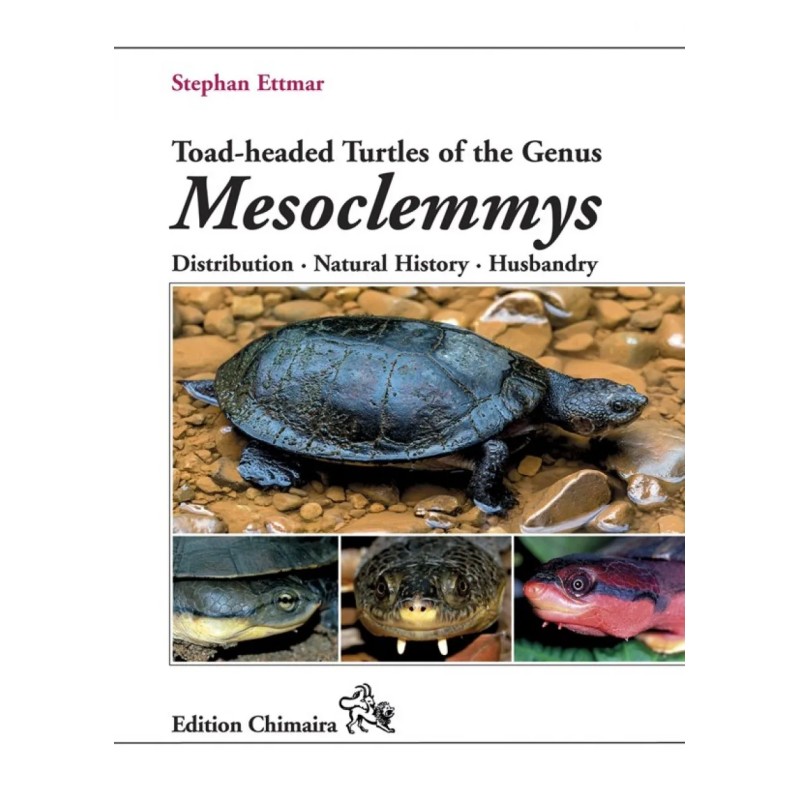 Toad-headed Turtles of the Genus Mesoclemmys – Distribution, Natural History, Husbandry