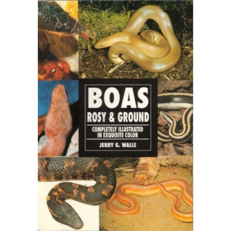 Boas Rosy & Ground