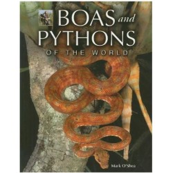 Boas and Pythons of the World