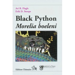Black Python: Morelia Boeleni