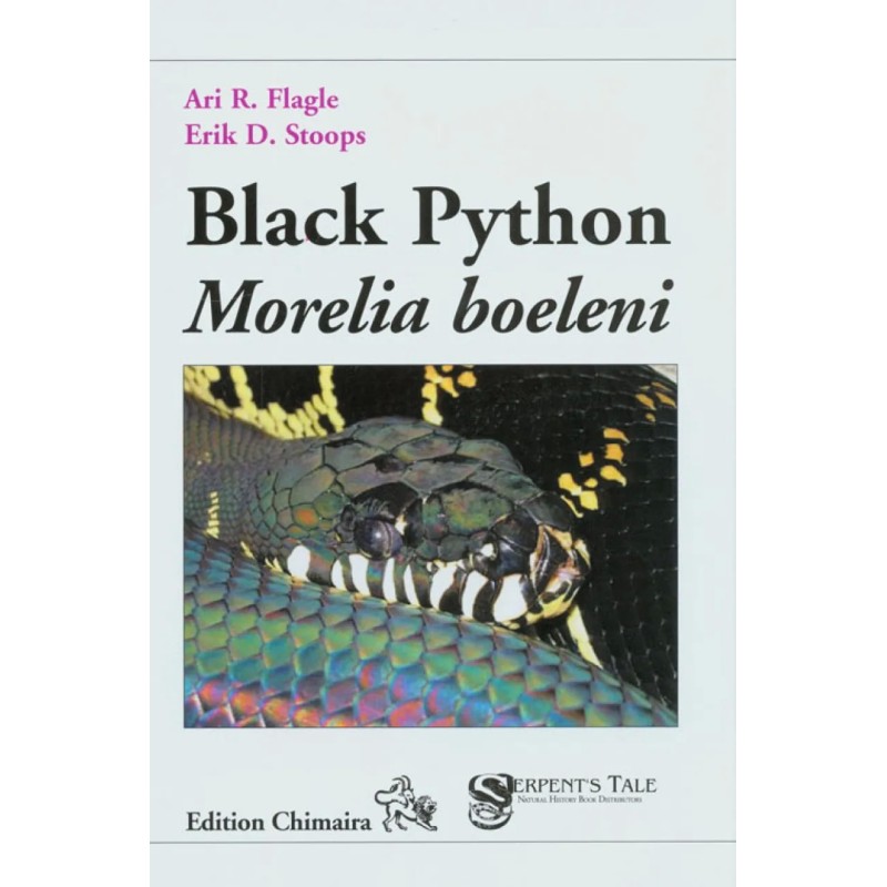 Black Python: Morelia Boeleni
