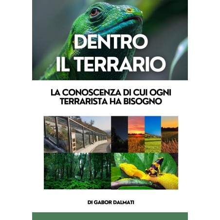 Dentro il terrario, la conoscenza di cui ogni terrarista ha bisogno