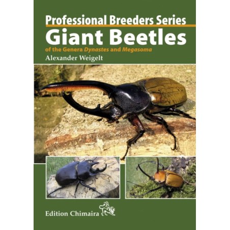 Giant Beetles of the Genera Dynastes and Megasoma