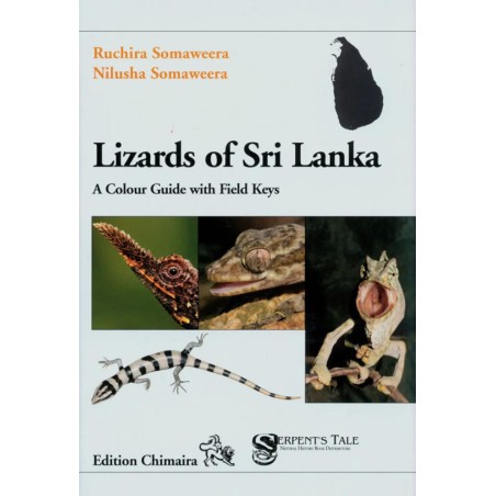 Lizards of Sri Lanka A Colour Guide with Field Keys