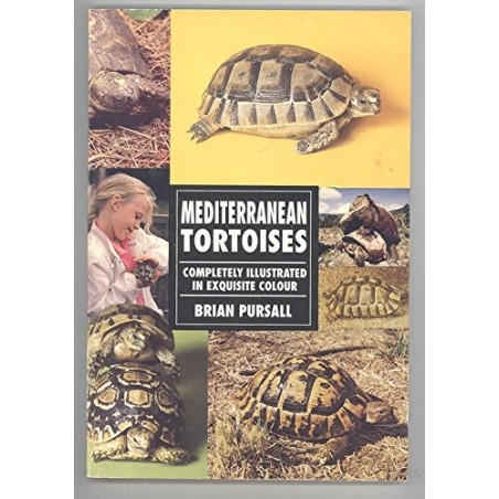 Mediterranean Tortoises Completely Illustrated in Exquisite Colour