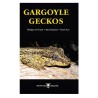 Gargoyle Geckos