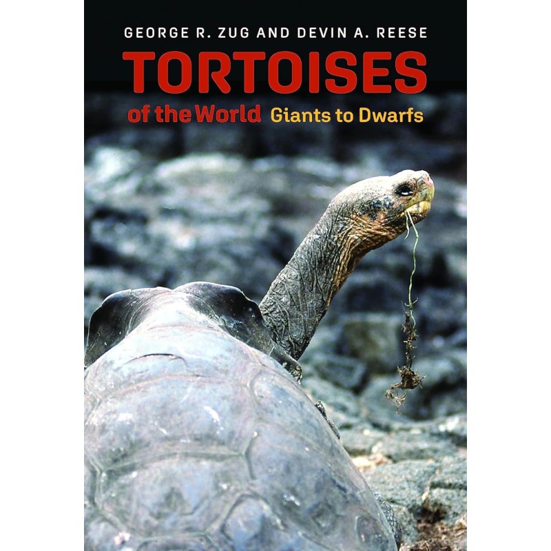 Tortoises of the World - Giants to Dwarfs