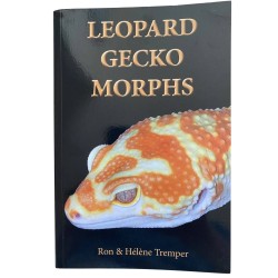 Leopard Gecko Morphs