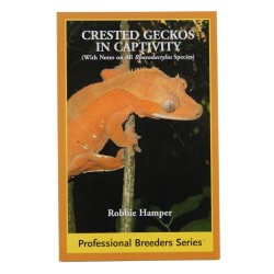 .....Crested Gecko in...
