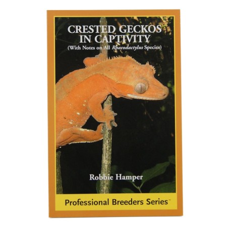 Crested Gecko in Captivity