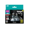 Arcadia Halogen Flood Lamp DUE lampade