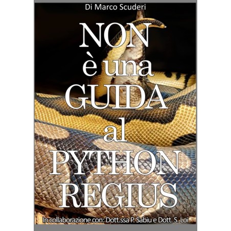 NON è una GUIDA al PYTHON REGIUS