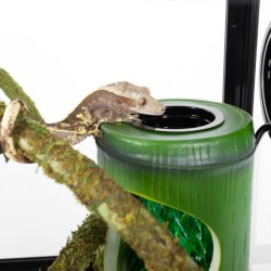 Fontanella abbeveratoio con ciotola