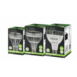 LED Compatto New Dawn verticale