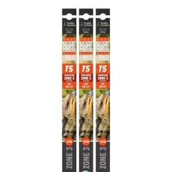 Neon T5 Zona 2 12%, UVI 4.1