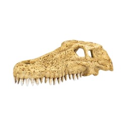 Crocodile skull den