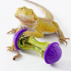 Reptile Stimulating Toy, 2pcs