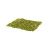 Natural moss mat, 2 pieces