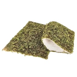 Tappetino in muschio...