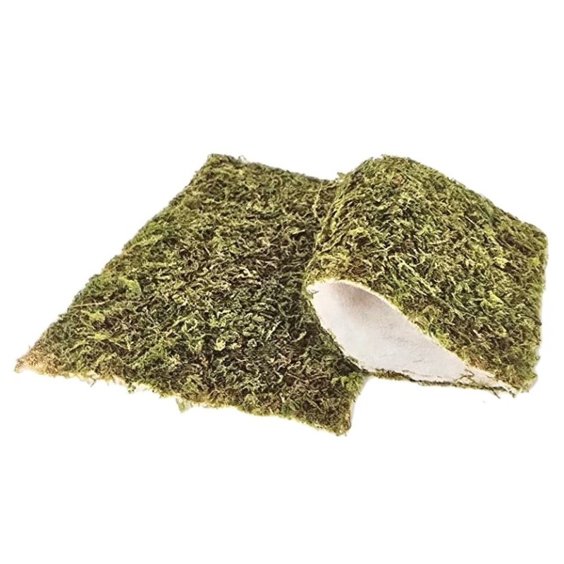 Natural moss mat, 2 pieces