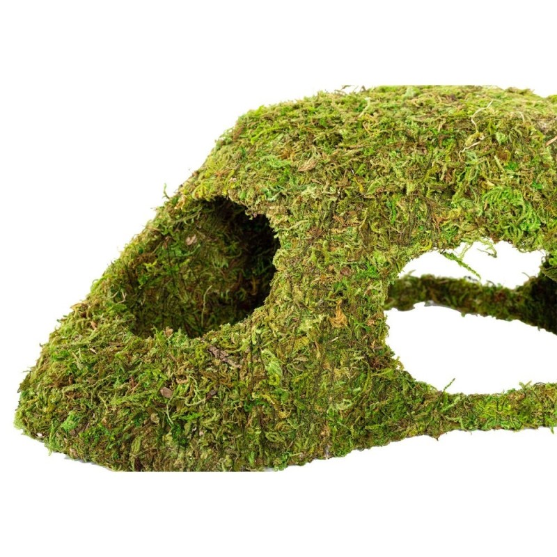 Natural moss den