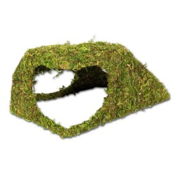 Natural moss den