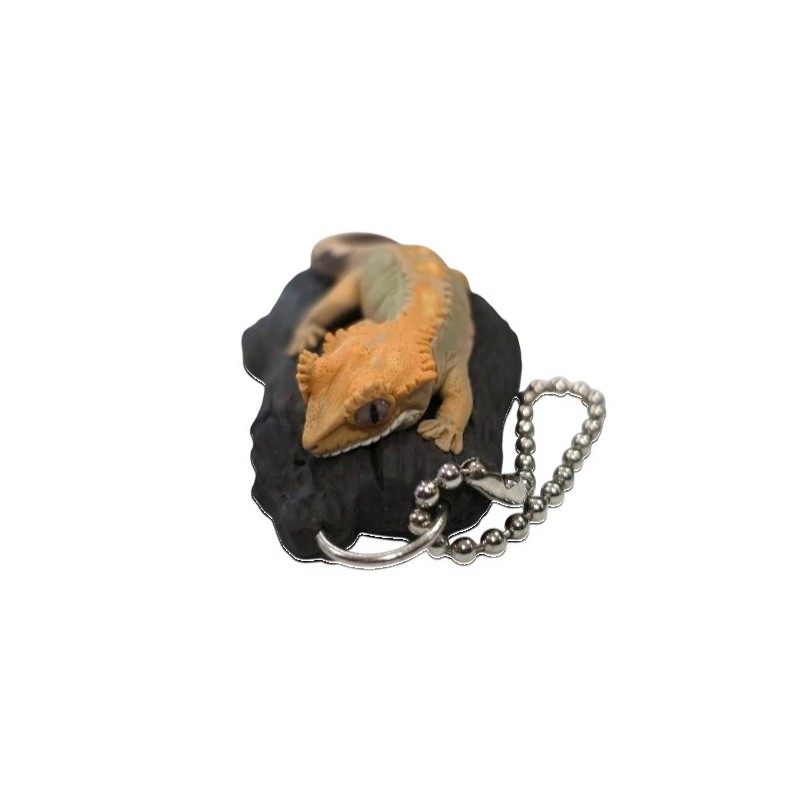 Portachiavi geco ciliato M