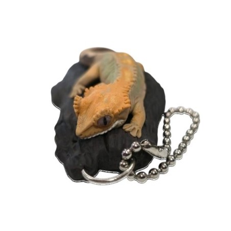 Portachiavi geco ciliato M