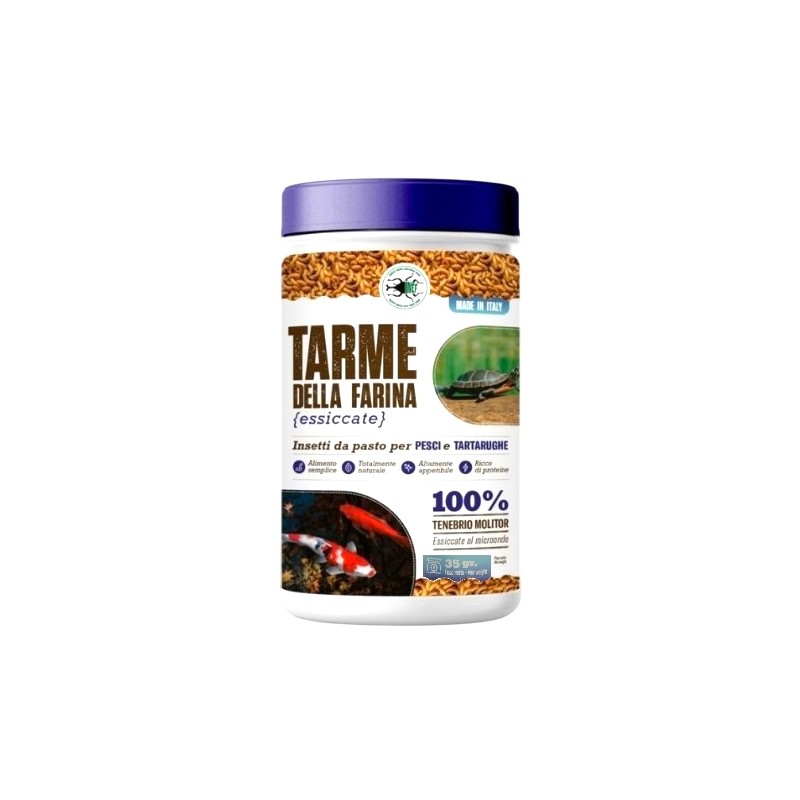 Tarme della farina essiccate