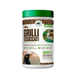 Grilli essiccati adulti