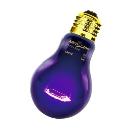 Lampada notturna riscaldante Reptizoo