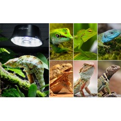 Mini plafoniera LED/UVB