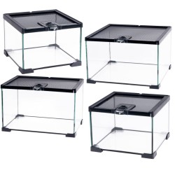 Mini terrari in vetro