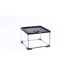 Mini glass terrariums