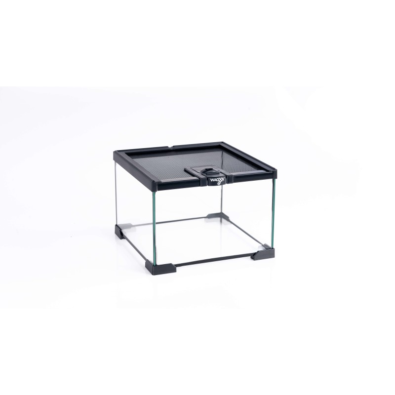 Mini glass terrariums