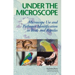 Under the Microscope:...