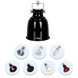 Portalampade Direzionali ReptiZoo