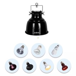 Portalampade Direzionali ReptiZoo