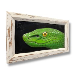 Tabella Trimeresurus intaglio legno