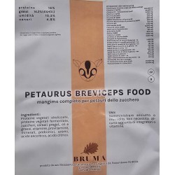 Petaurus Breviceps food alimento daily