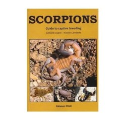 SCORPIONS – Guide to...