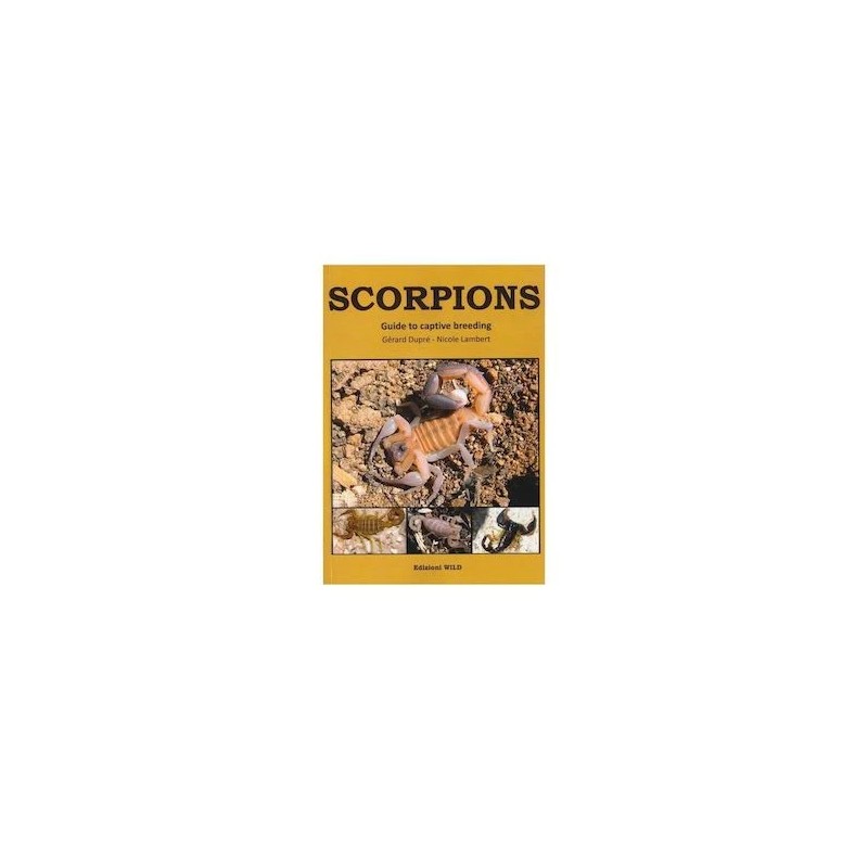 SCORPIONS – Guide to captive Breeding