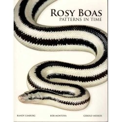 Rosy Boas, Patterns in Time