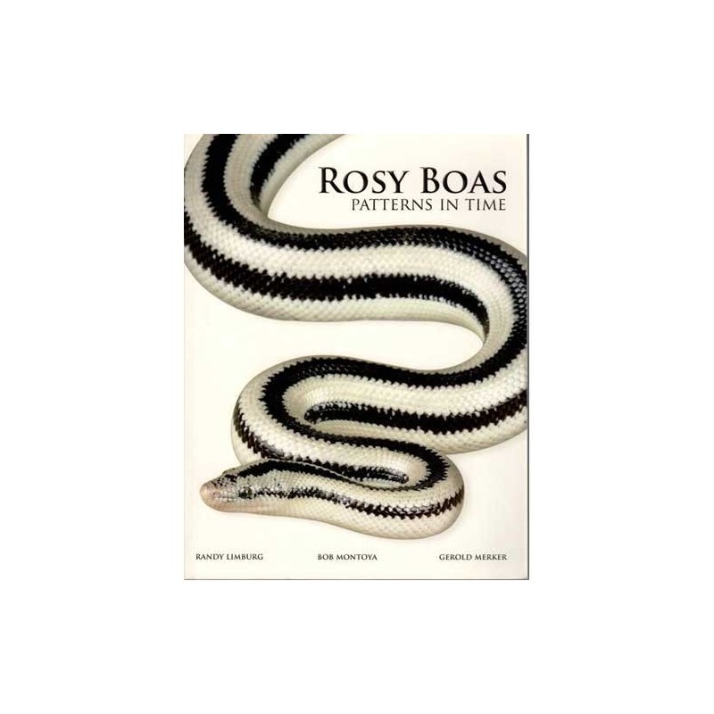 Rosy Boas, Patterns in Time